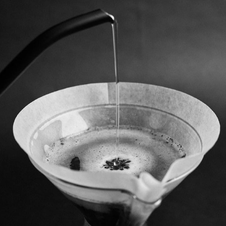 Wasseraufguss mit dem Sibarist Fast Cone Filterpapier XL in der Chemex