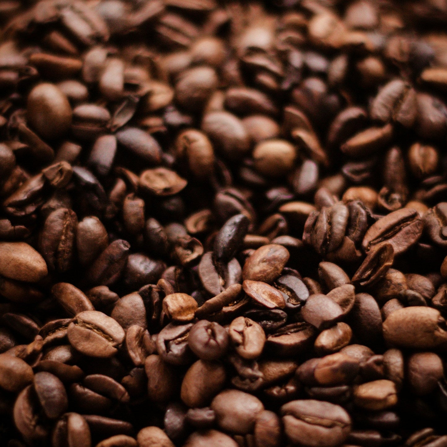 Decaf Arabica Bohnen entkoffeiniert