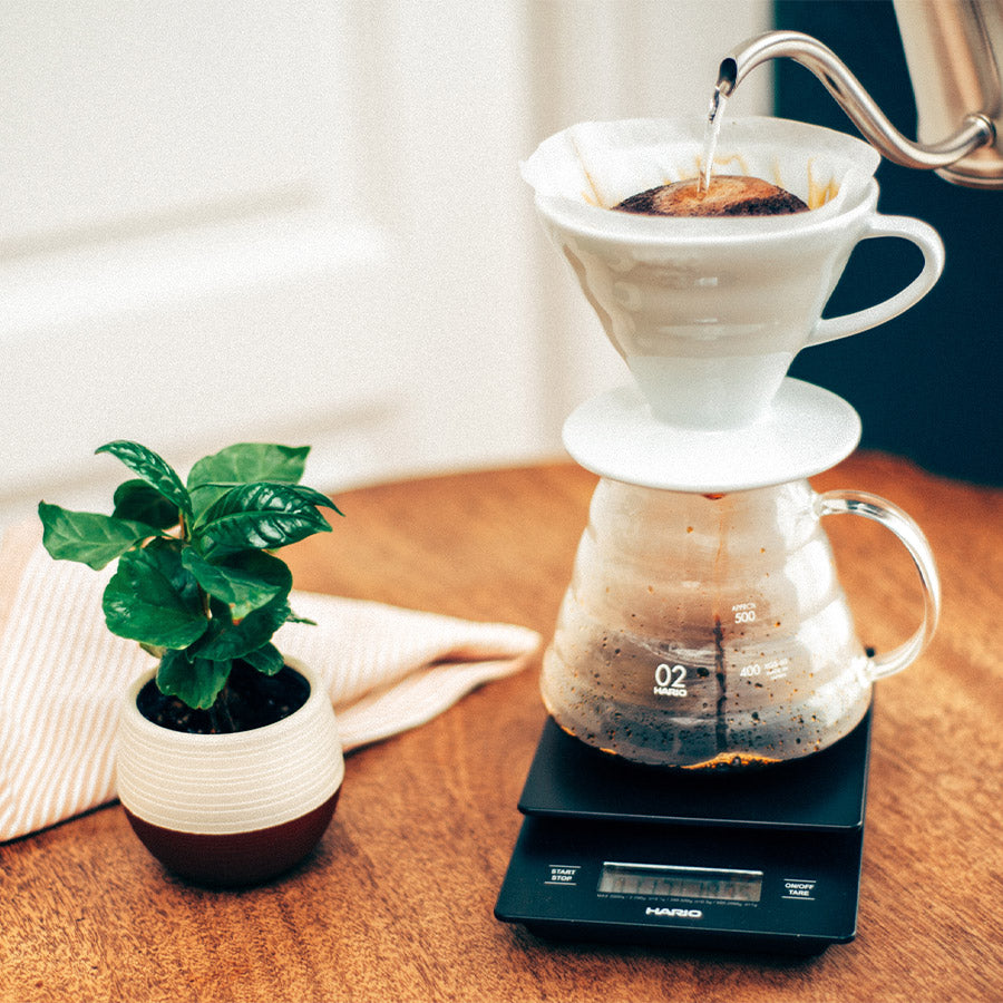 Hario V60 Drip Scale mit V60 Dripper und Kaffeeserver
