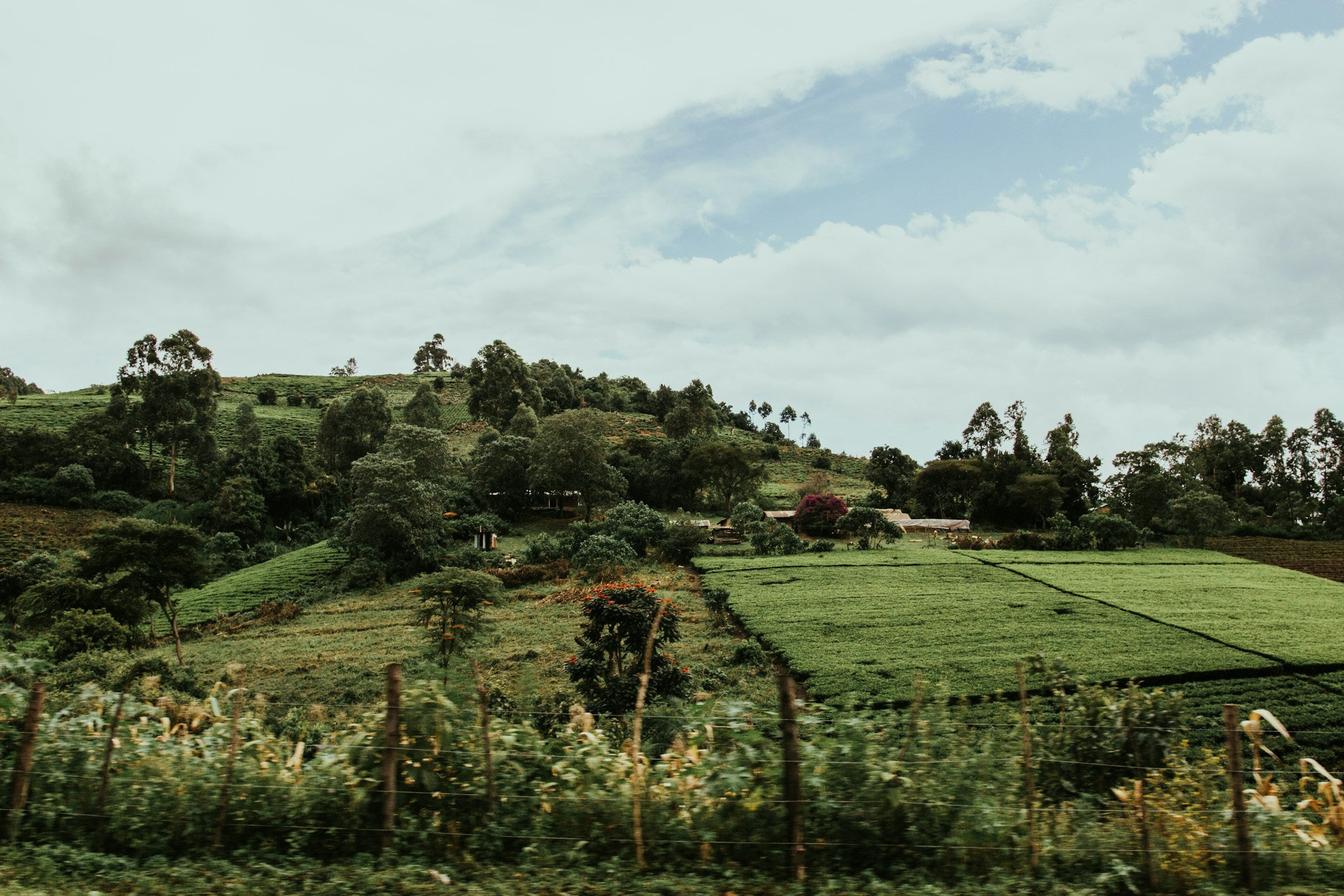 Kenia Landschaft