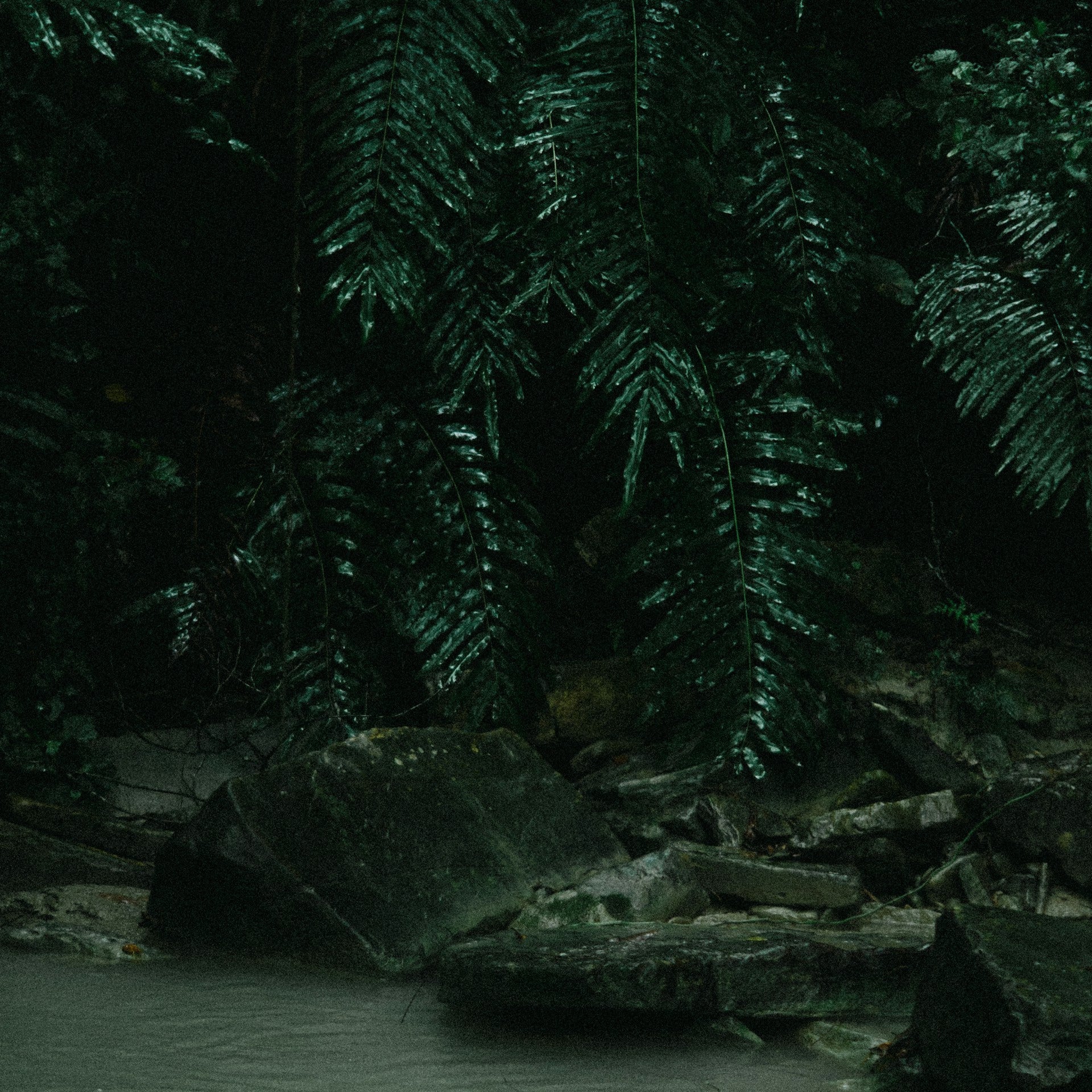 Mexiko Extra Dark Landschaft