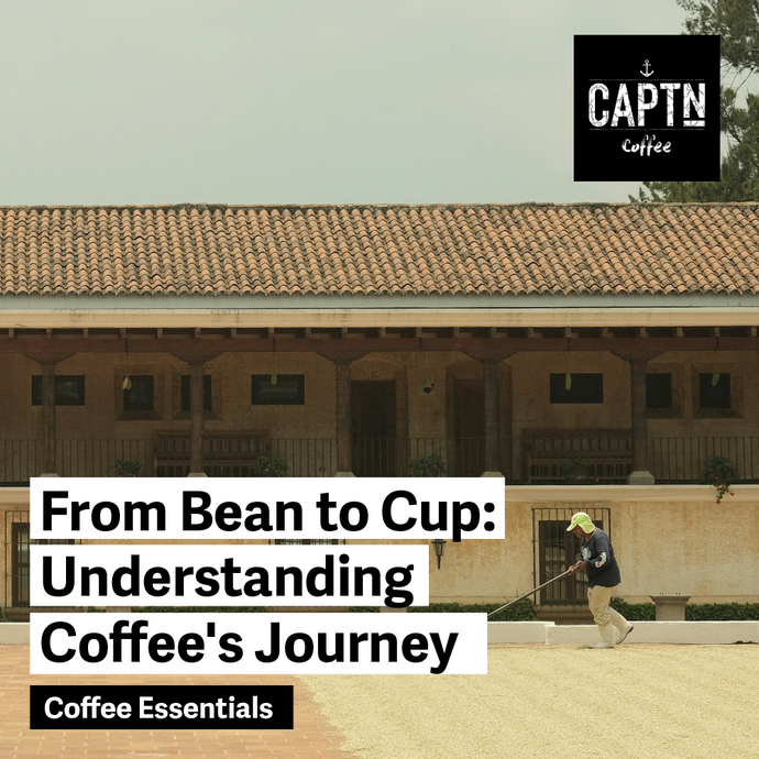 Online Baristakurs From Bean to Cup: Understandning Coffee Journey