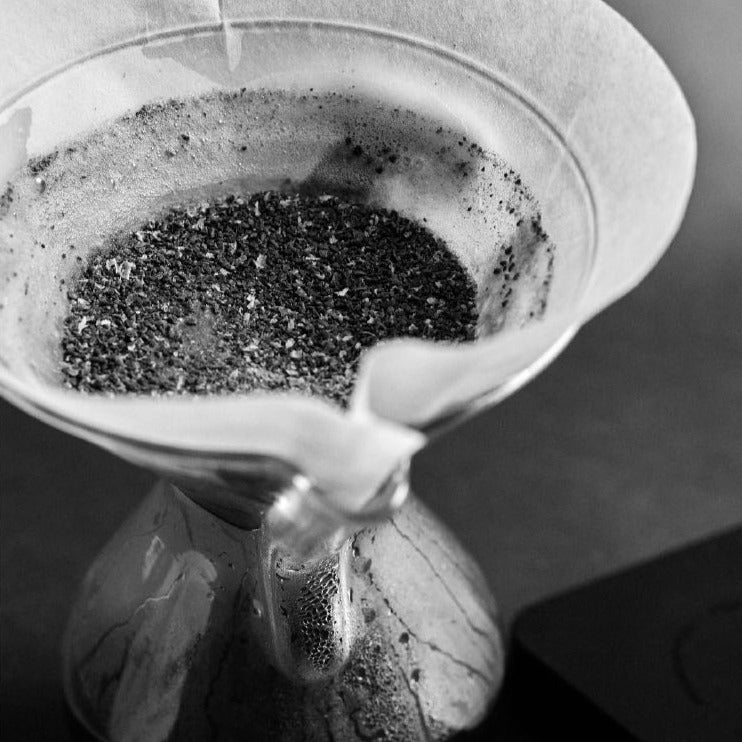 Kaffeesatz im Sibarist Fast Cone Papierfilter XL in der Chemex