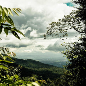 THAILAND Landschaft mit Bäumen und Himmel über Bergen